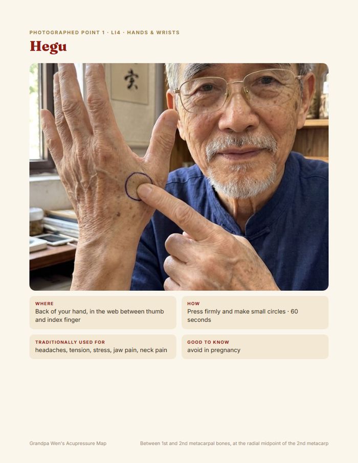 The Hegu point on Grandpa Wen's hand, circled on the skin
